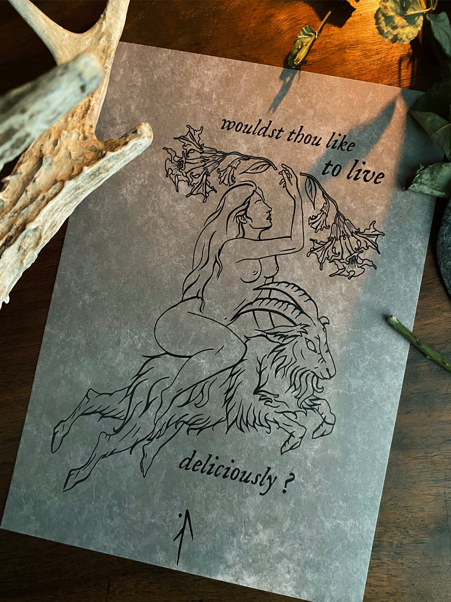 Coffret "Follow The Goat"