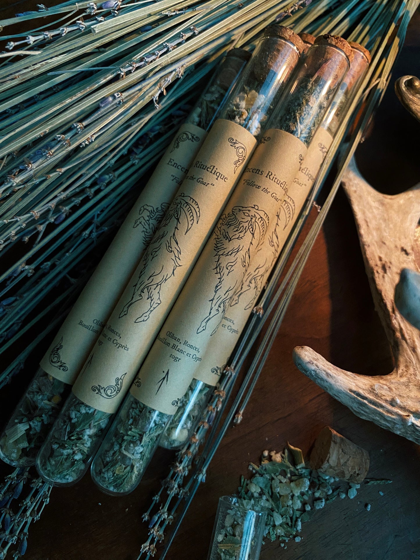 Coffret "Follow The Goat"