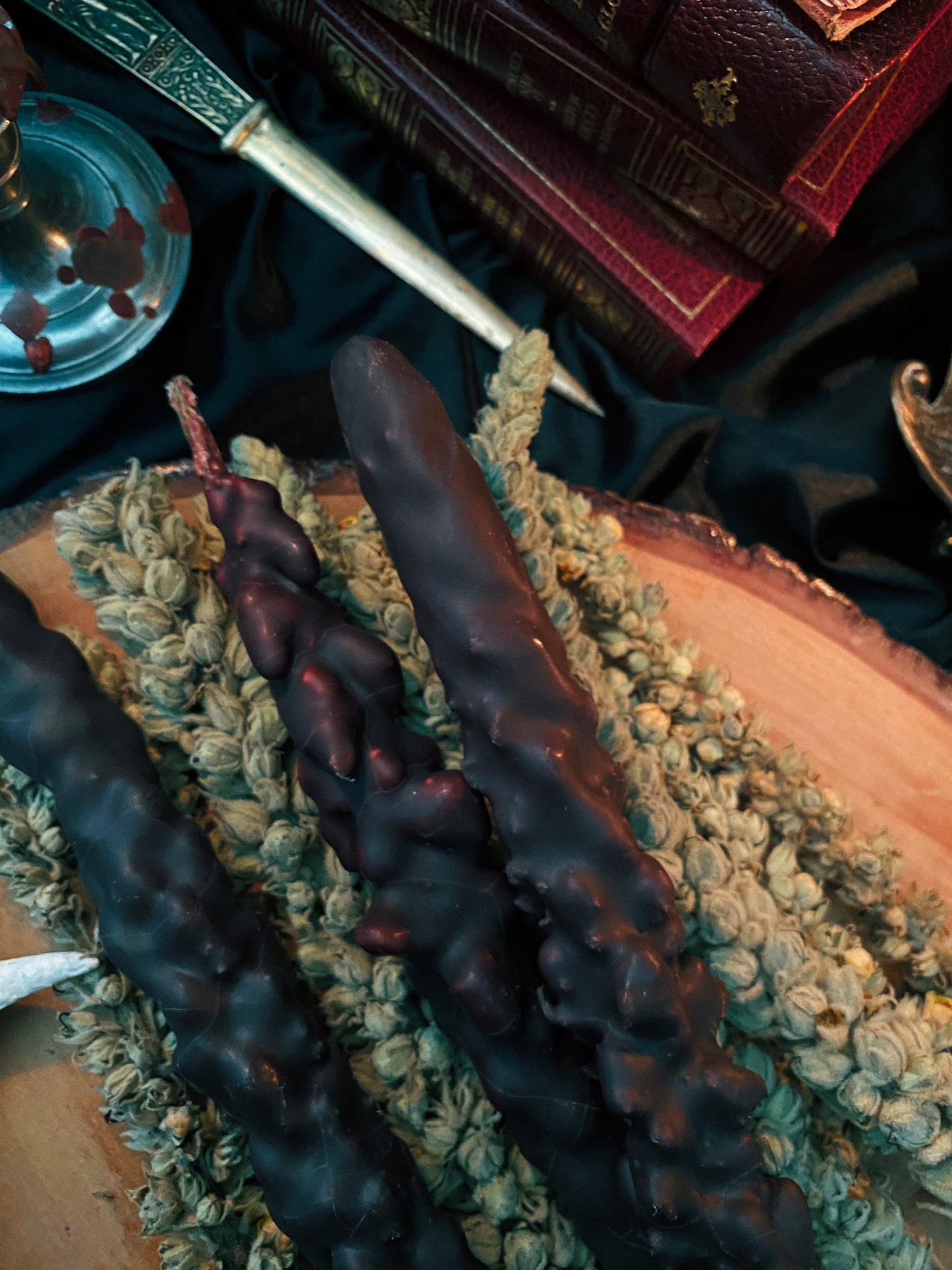 Torches de Bouillon Blanc