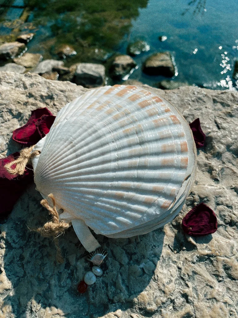 Coffret "Murmures de l'Océan"