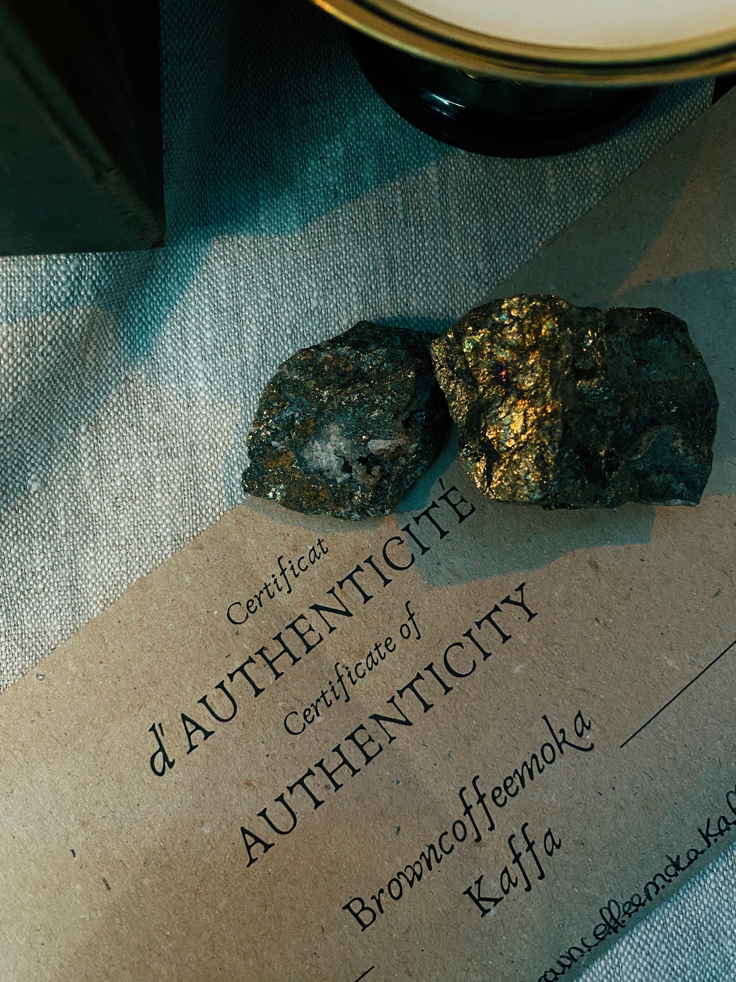 Coffret "Anima Viridis"