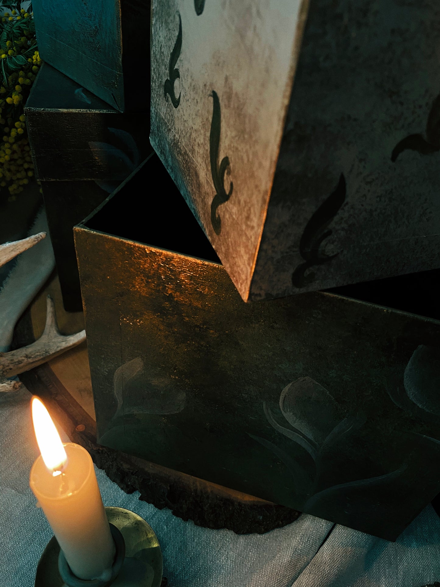 Coffret "Anima Viridis"