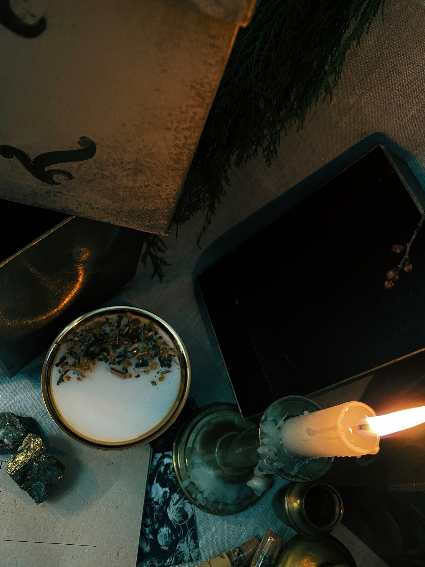 Coffret "Anima Viridis"