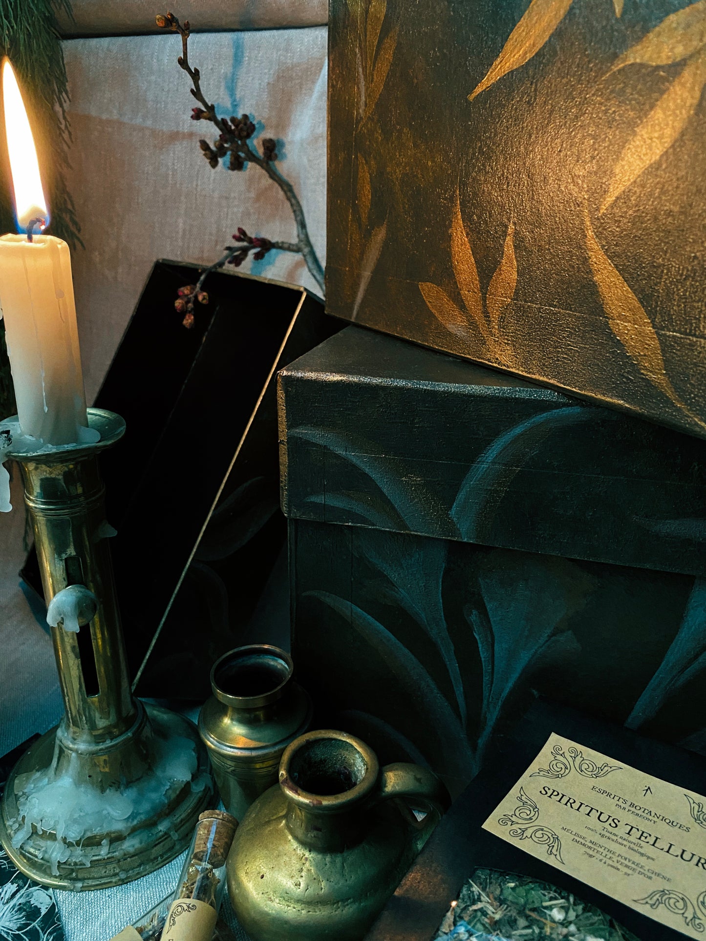 Coffret "Anima Viridis"