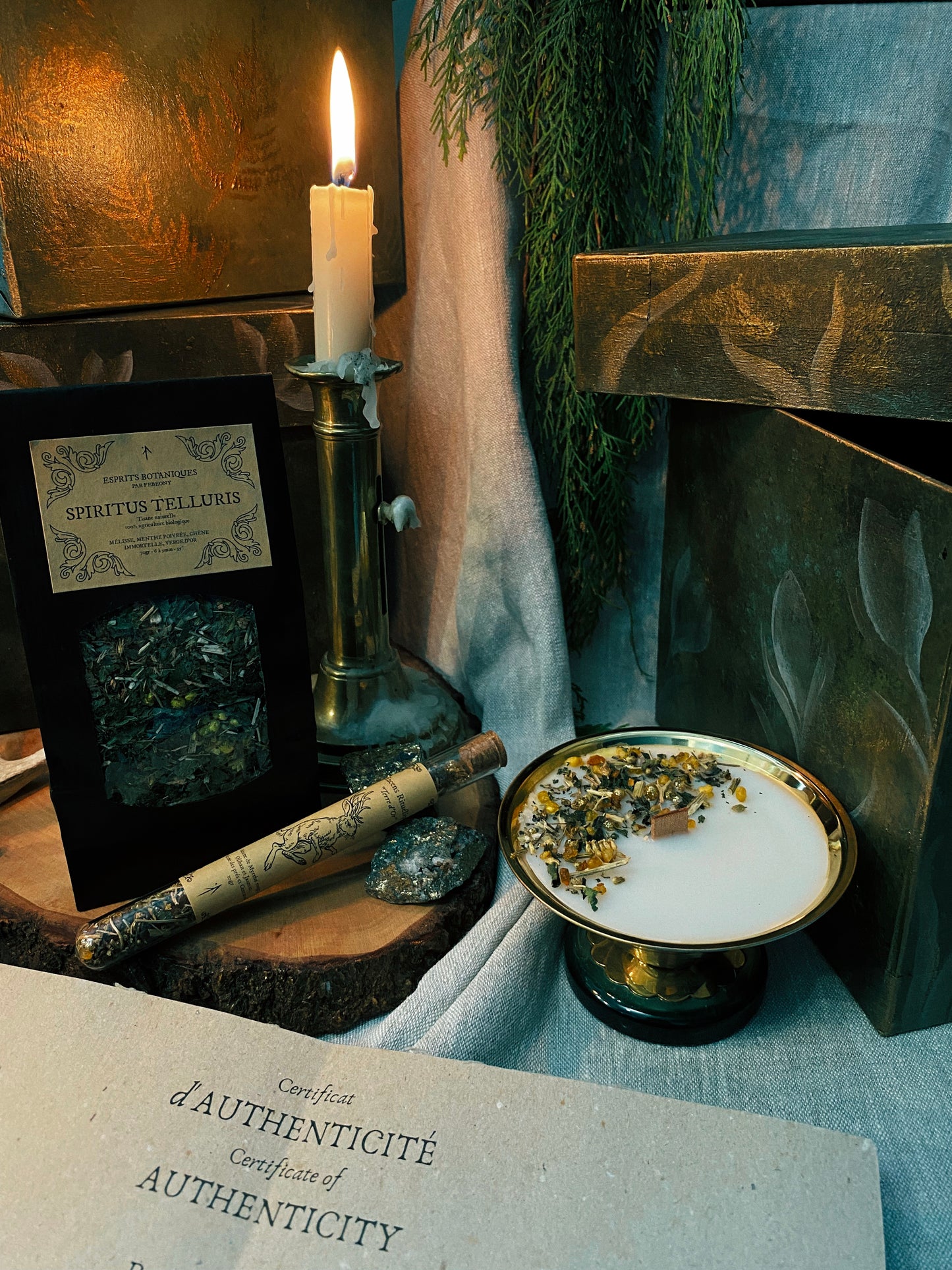 Coffret "Anima Viridis"