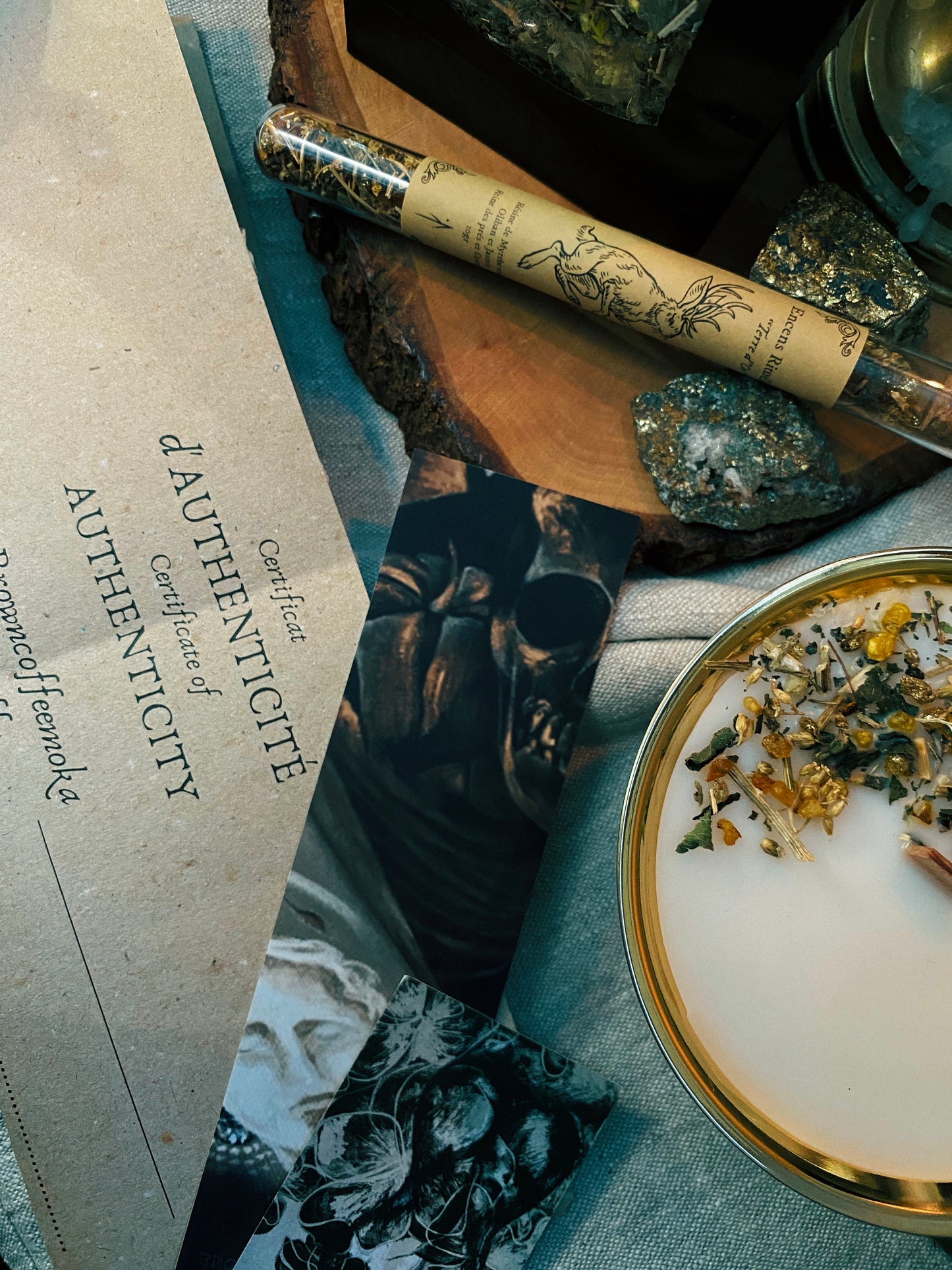 Coffret "Anima Viridis"