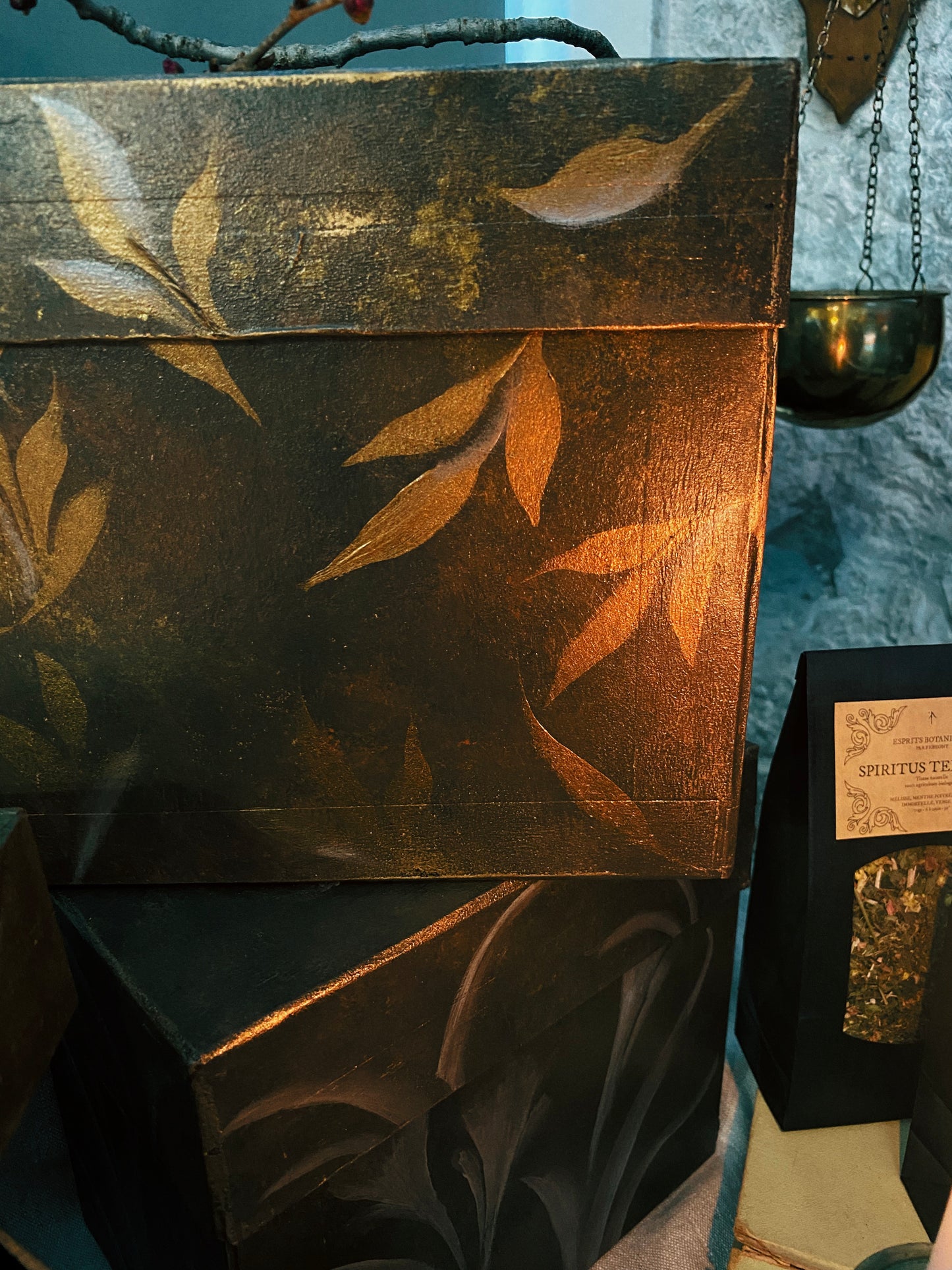 Coffret "Anima Viridis"