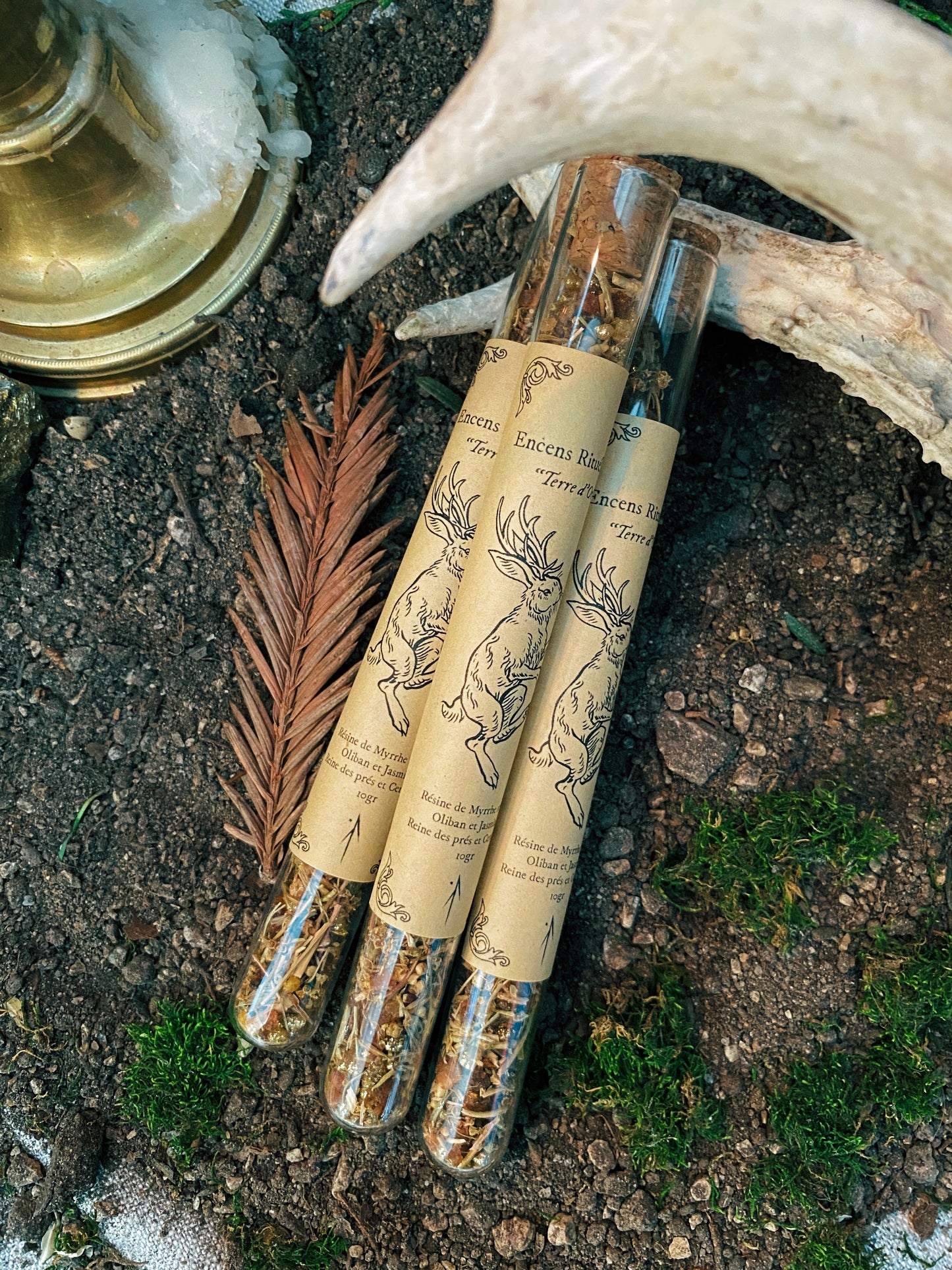 Coffret "Anima Viridis"