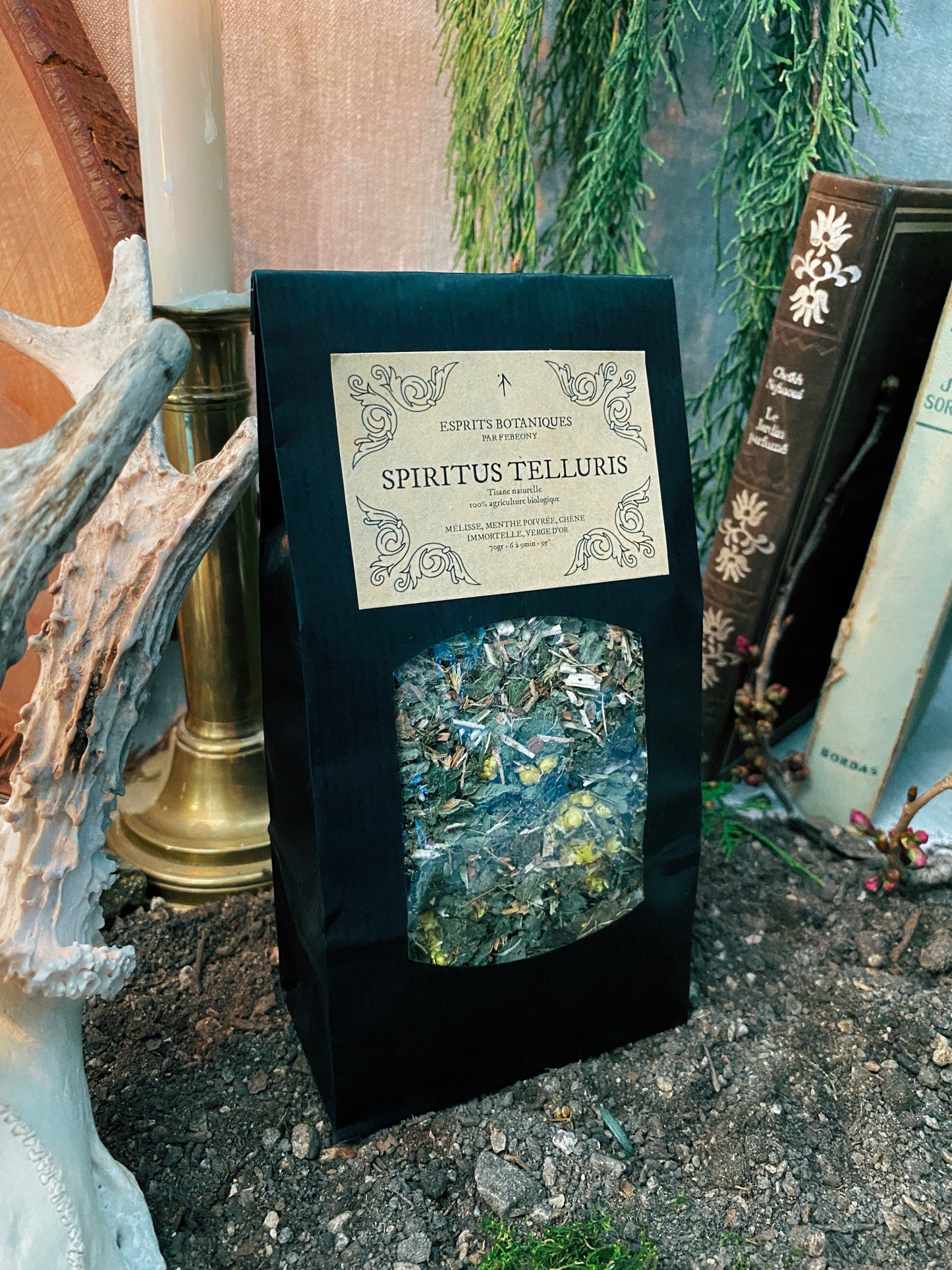 Coffret "Anima Viridis"