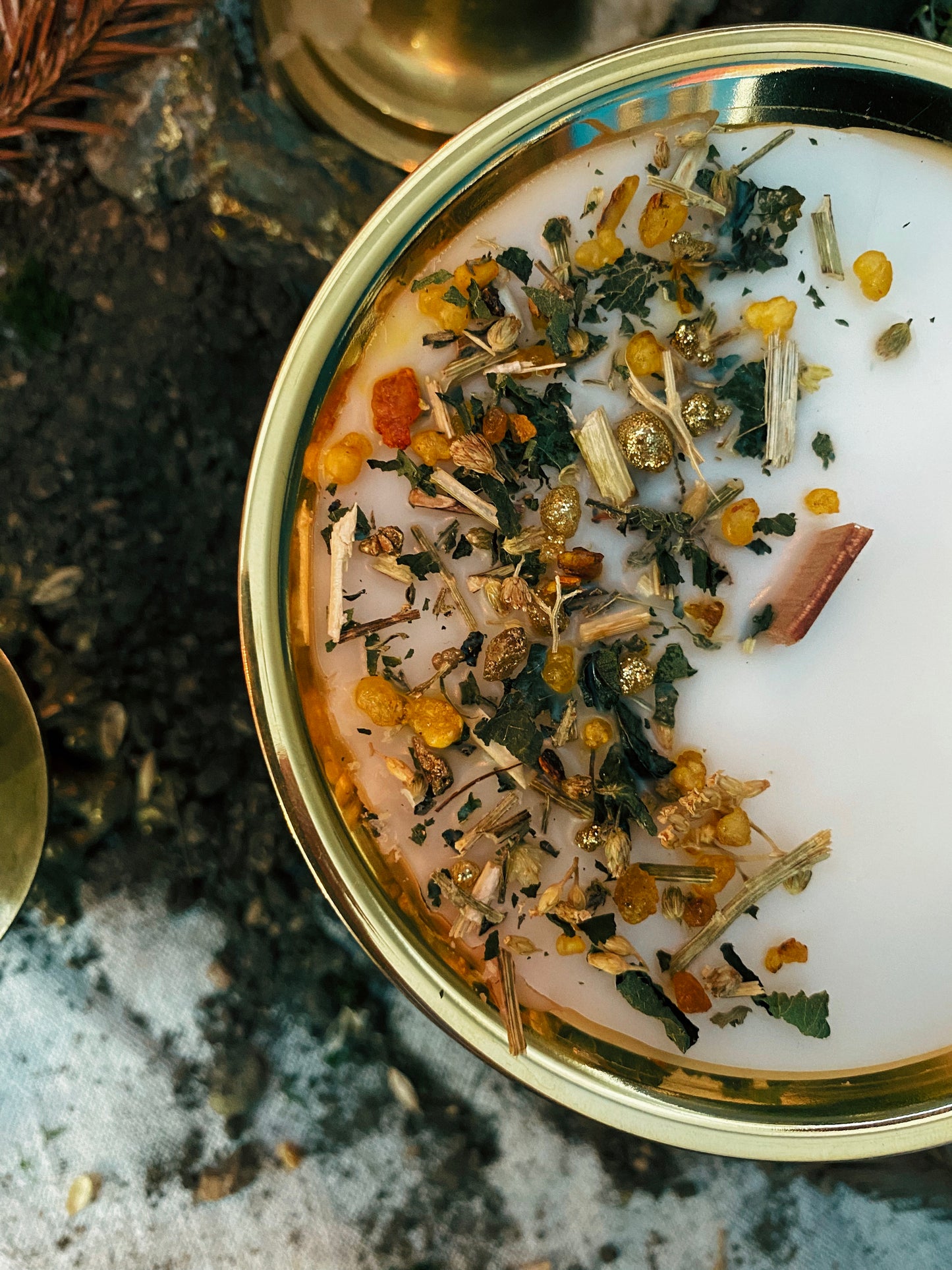 Coffret "Anima Viridis"