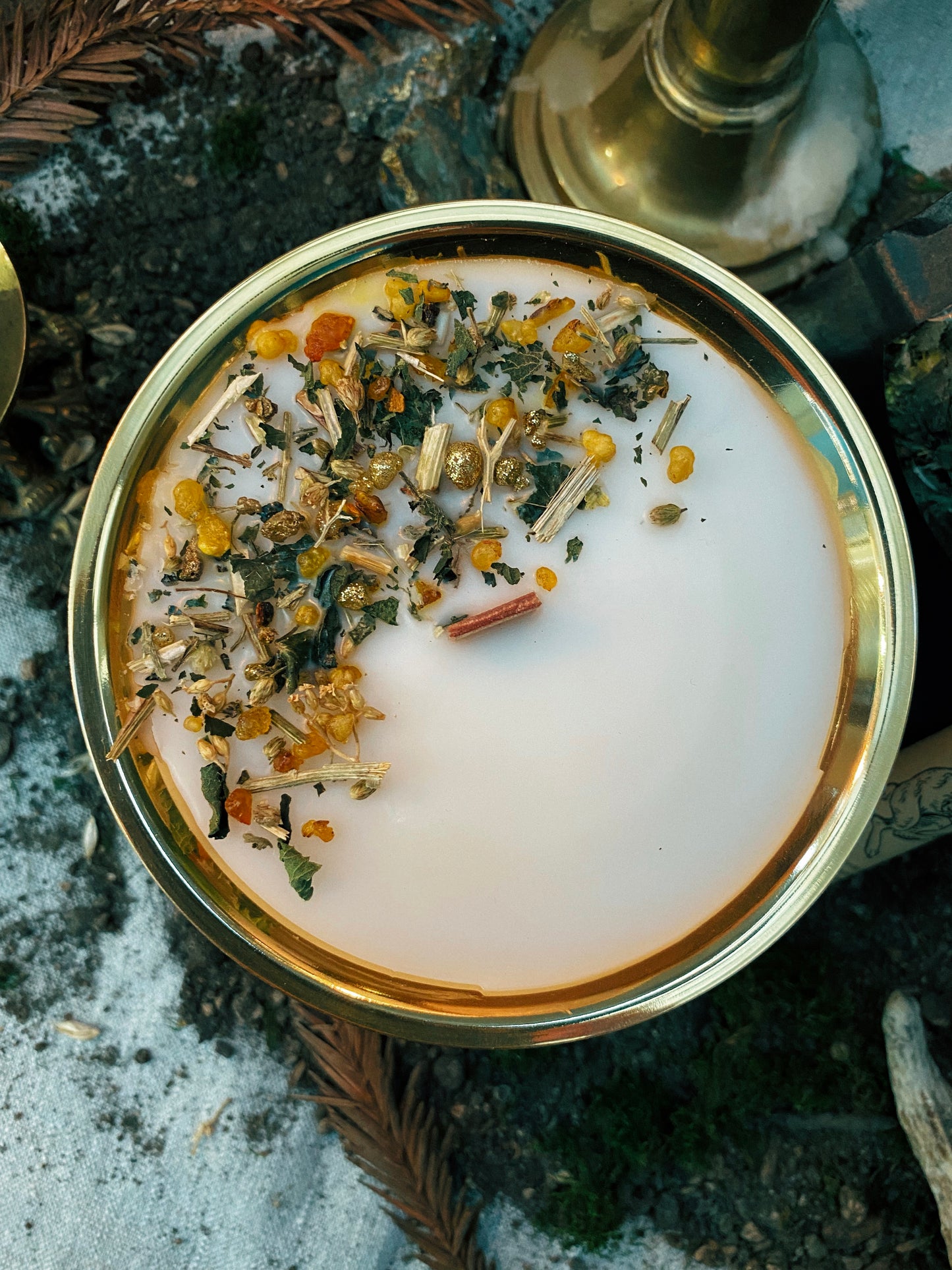 Coffret "Anima Viridis"