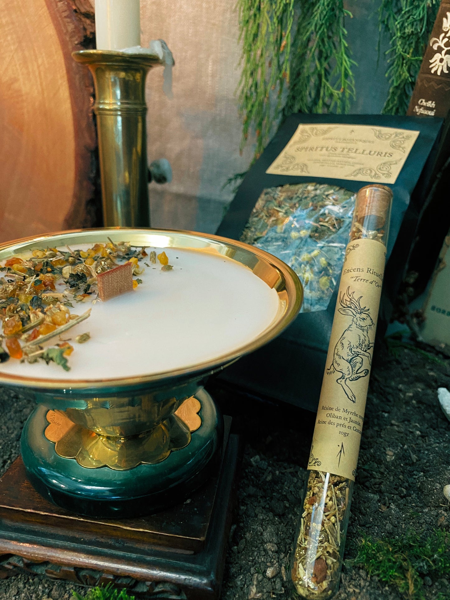 Coffret "Anima Viridis"