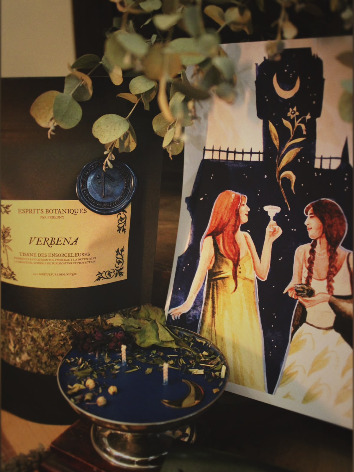 Coffret « Les Ensorceleuses »