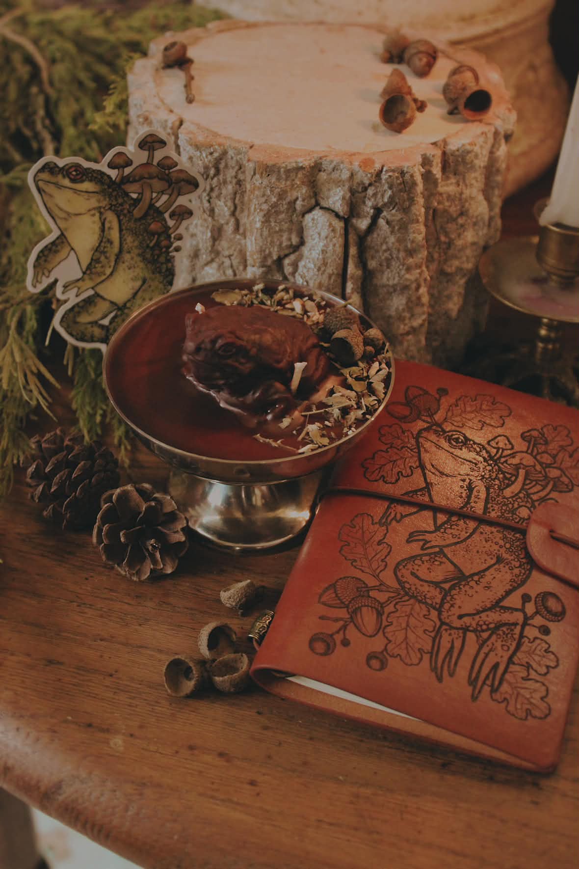 Coffret « Le Crapaud de Mabon »