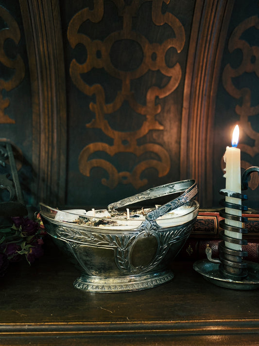 Damoiselle d’Acier