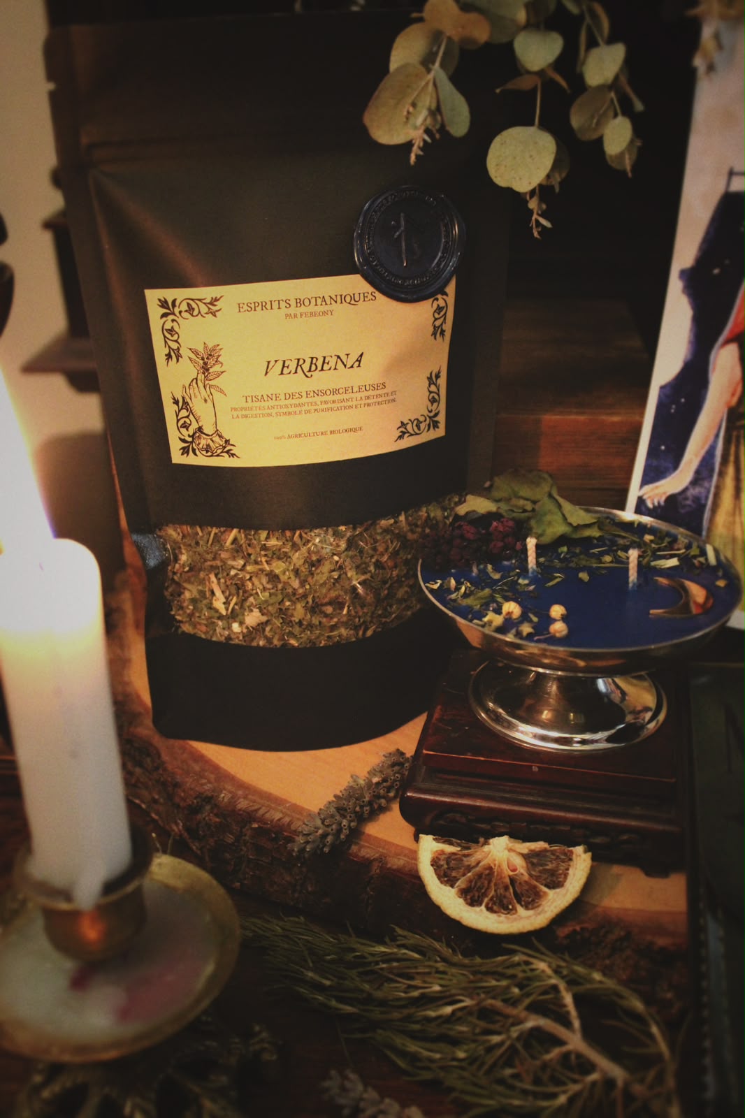 Coffret « Les Ensorceleuses »