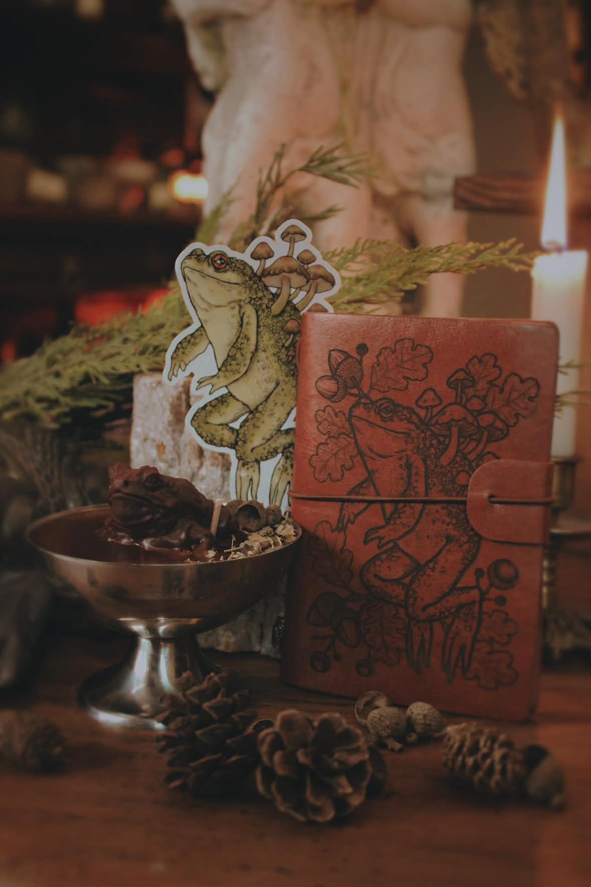 Coffret « Le Crapaud de Mabon »