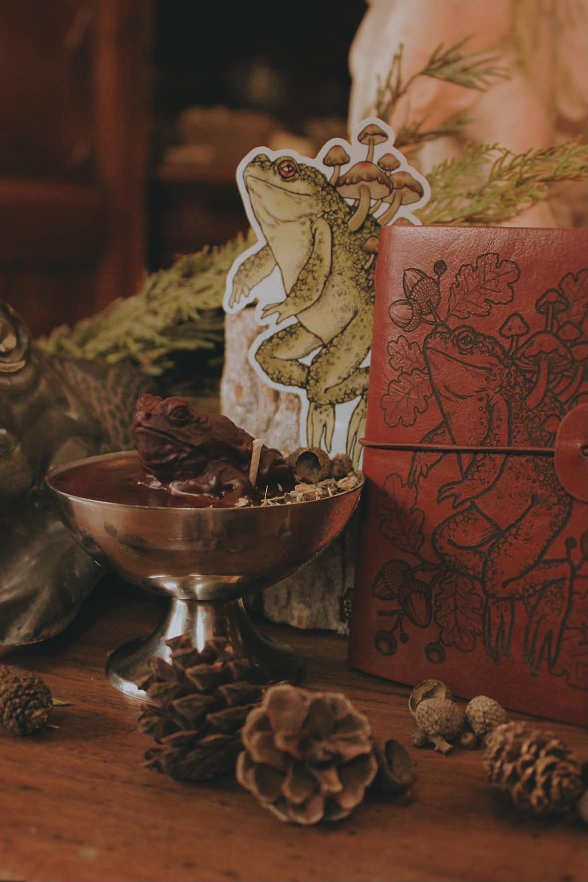Coffret « Le Crapaud de Mabon »