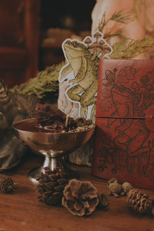 Coffret « Le Crapaud de Mabon »