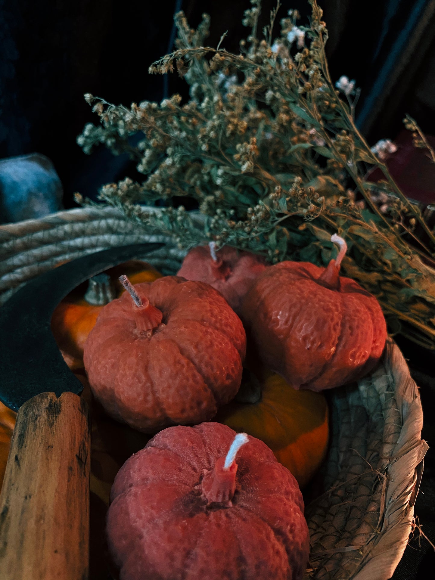 Witches Harvest