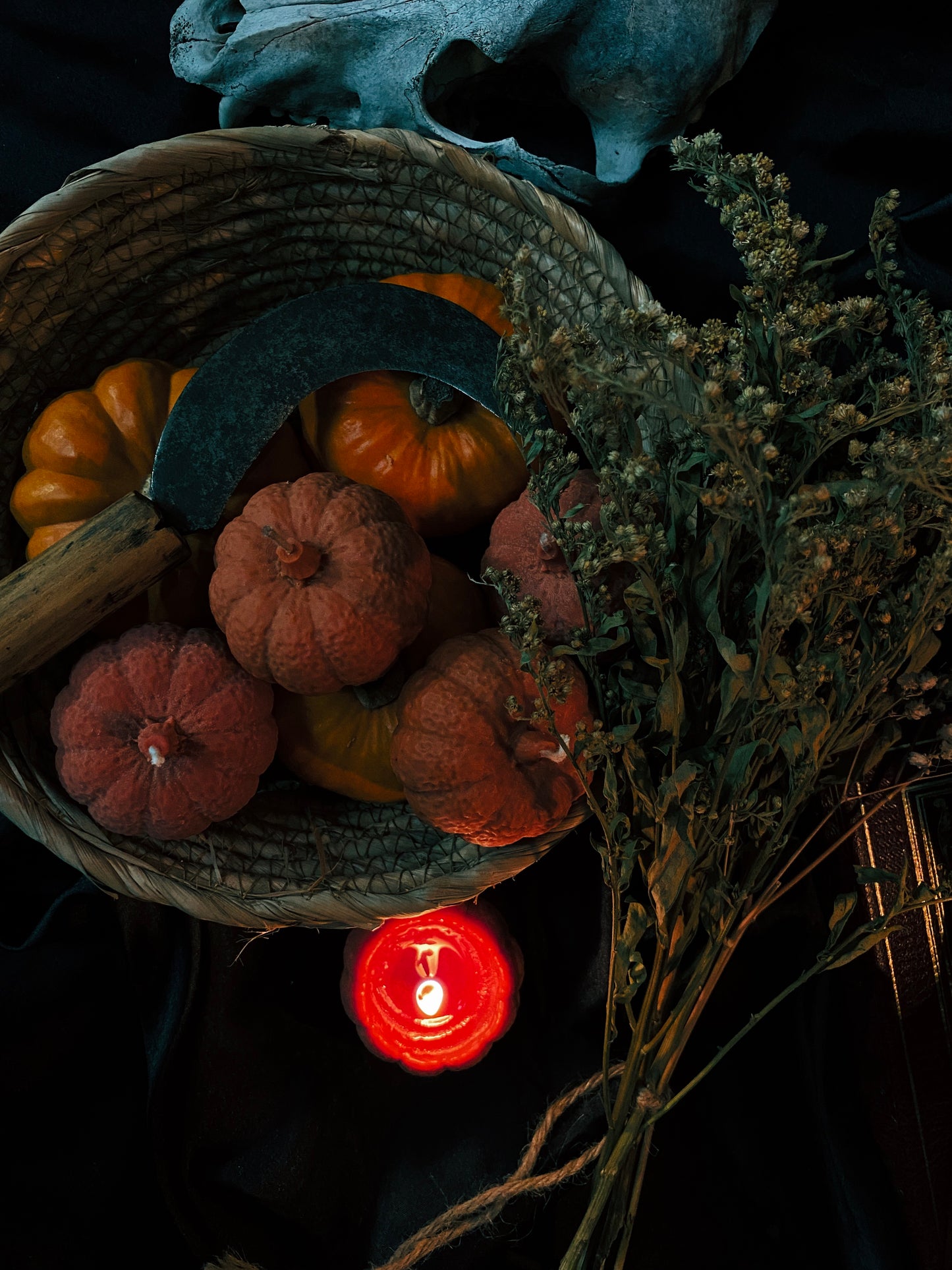 Witches Harvest